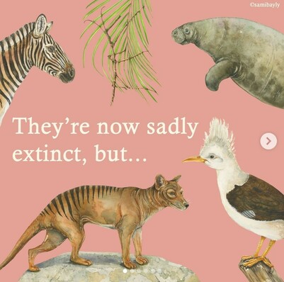 They're now sadly extinct, but ... 

beautiful drawings of a tasmanian tiger, a quagga, a steller's sea cow, a ridley's stick insect and a reunion starling